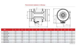 BMFX 100 график-1